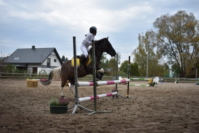 bABIE lATO 2018